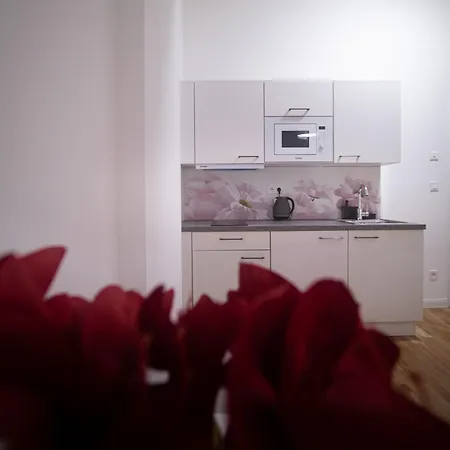 Appartement New Complex Florenc